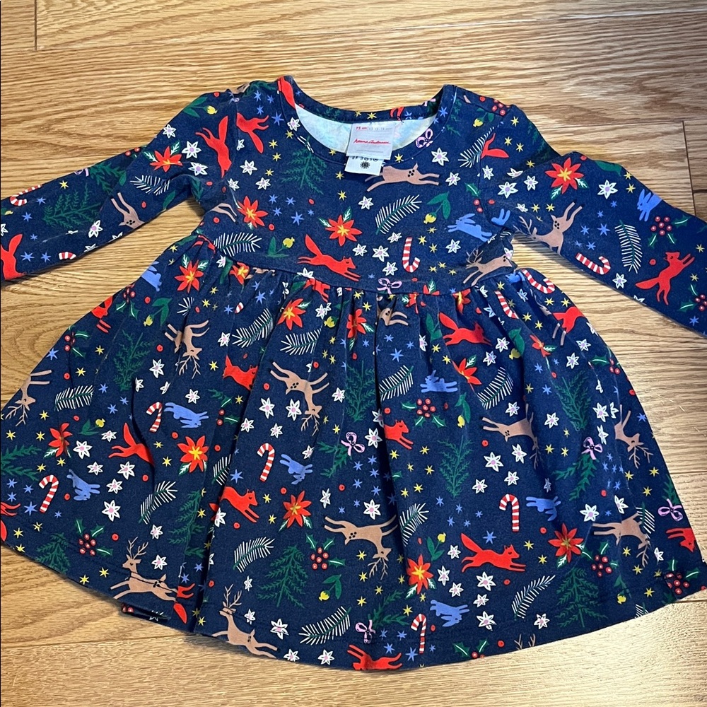 Hanna Andersson Blue Holiday Dress with Festive Print